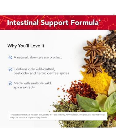 Physician's Strength Orega Slow-Release - 60 Capsules - Intestinal Support Formula - 30 Servings - Buy Online on GoSupps.com