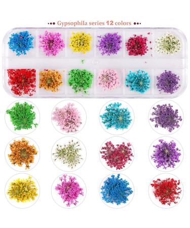 UNIME Dried Flowers for Nail Art - 12 Colors Mini Real Natural Flowers - 3D Nail Decoration Sticker - Gypsophila - Buy Online on GoSupps.com