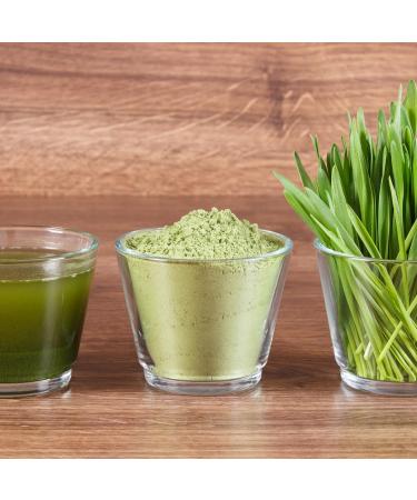 100% Pure Sun-Dried Wheatgrass Powder | Wheatgrass Shot | Smoothi/Juices | Energy Balls | Chemical-Free | Nutrient Retention | Preservative-Free Organic Vegan Eco-Friendly | 150 Grams | 5.29 oz - Buy Online on GoSupps.com