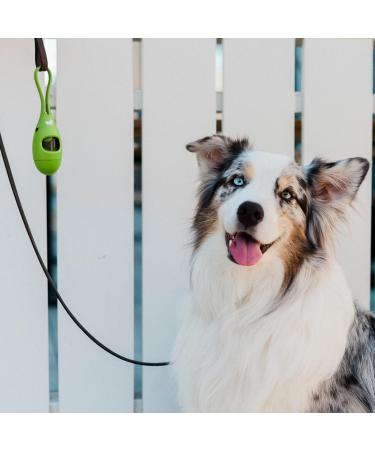 Earth Rated Dog Poop Bag Holder with Dog Poop Bags Durable and Guaranteed Leakproof Unscented 1 Dispenser and 15 Bags - Buy Online on GoSupps.com