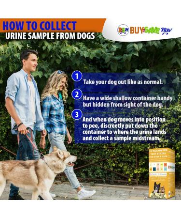 Pet Test Strips: Accurate Urine Monitoring Kit for Dogs, Cats & Other Pets - Blood Glucose, pH, Specific Gravity, UTI & Kidney Health Tests - Buy Online on GoSupps.com