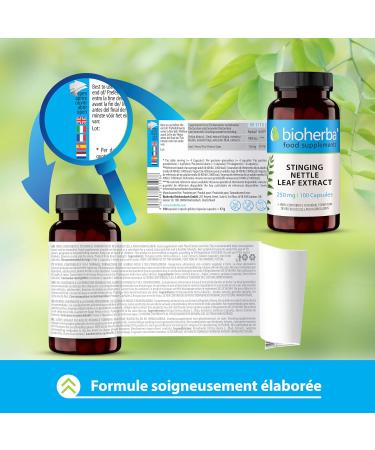 Nettle Extract with Iron - High Dosage - 100 Capsules of 250 mg - Food Supplement for Hair Prostate and Hydric Balance - Up to 1000 mg per Day BIOHERBA - Buy Online on GoSupps.com
