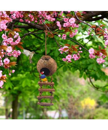 SunGrow Coconut Bird House with Ladder - Mini Avian Condo with Hanging Loop - Buy Online on GoSupps.com