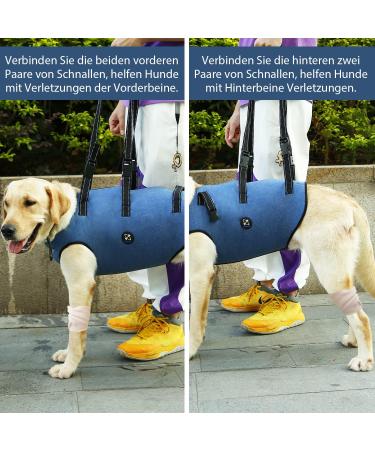 COODEO Dog Harness - Adjustable Lifting Belt for Pets | Support & Rehabilitation for Old & Disabled Dogs - Padded Breathable Straps - XS Blue - Buy Online on GoSupps.com