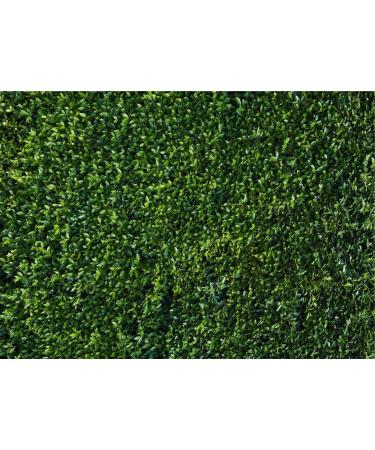HQM 7x5FT Nature Spring 3D Green Leaves Photo Background for Wedding, Birthday, Baby Shower Photography - Buy Online on GoSupps.com