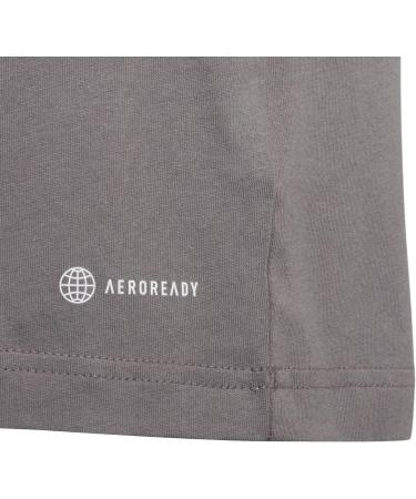 Buy adidas Unisex Entrada 22 T-Shirt for Kids (9-10 years) - Team Grey Four | International Shipping Available - Buy Online on GoSupps.com
