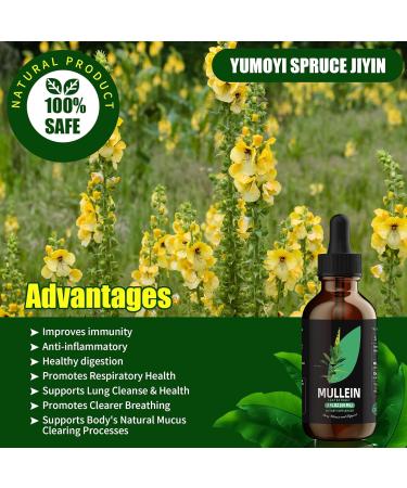 Mullein Leaf Extract - Support Lung Cleanse & Respiratory Function for Healthy Breathing - Natural Supplement Tincture Drops | Non-GMO Vegetarian | 1 Month Supply 2 Fl Oz (Pack of 1) - Buy Online on GoSupps.com