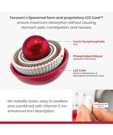 Ferosom Forte LCE Liposomal Iron Iron Supplement Capsule Gentle on the Stomachs 30g Elemental Iron with Vitamin C One-A-Day Easy to Swallow Iron Pills for Women and Men 20 Vegan Iron Capsules - Buy Online on GoSupps.com