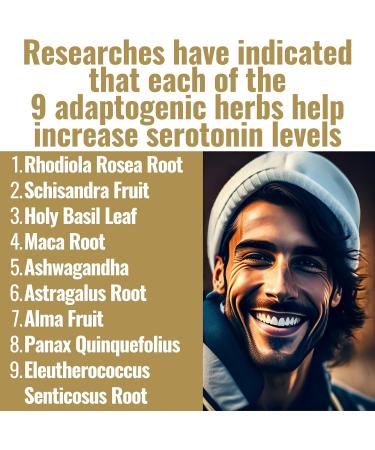 SHIZAM Serotonin Stress Relief Capsules - Natural Adaptogenic Supplements with Rhodiola Rosea & Holy Basil - Buy Online on GoSupps.com