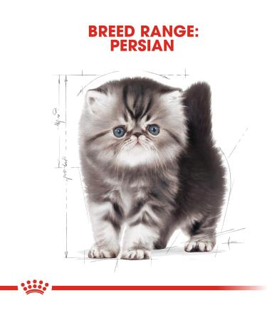 Royal Canin Kitten Food Persian 32 Dry Mix 4 kg 4 kg (Pack of 1) - Buy Online on GoSupps.com