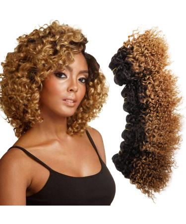 Ombre Brown Curly Human Hair Bundles (8 8 8 8 Inch) Weave Bundles 12A Brazilian Virgin Hair Color 1B/30 Kinky Curly Weave Bundles Wet and Wavy for Women 4 Bundles Human Hair 8 Inch ( Pack of 4 ) Curly-1B/30