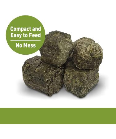 Living World Alfalfa Chews - 16-Ounce | Natural Guinea Pig & Rabbit Treats - Buy Online on GoSupps.com