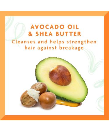 Cantu Avocado Hydrating Shampoo 13.5 oz (Pack of 2) - Sulfate-Free with Shea Butter - Buy Online on GoSupps.com