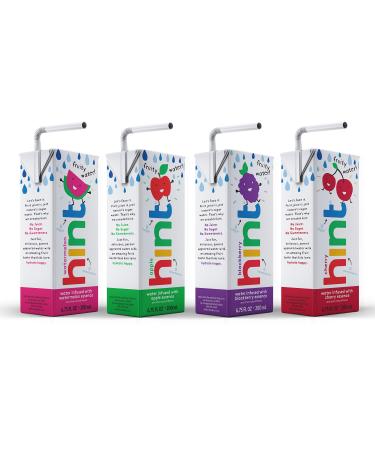 Hint Kids Water Variety Pack (Pack of 32), 6.75 Ounce Boxes, 8 Boxes Each of: Cherry, Watermelon, Apple, & Blackberry, Zero Sugar, Zero Sweeteners, Zero Preservatives, Zero Artificial Flavors 4-Flavor Variety Pack