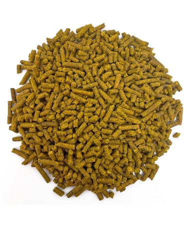 Horse Herbs TURbo Boost - Equine Turmeric Pellet (3kg Refill) 3 kg (Pack of 1)