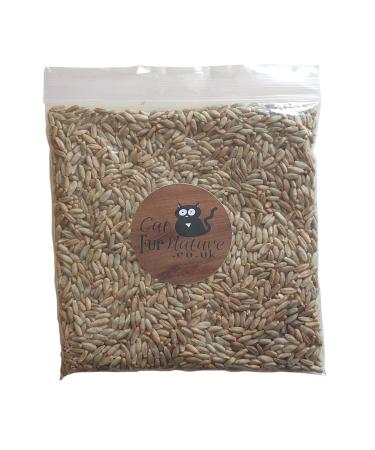 Cat Grass Seeds - Rye (150g) by Cat FurNature