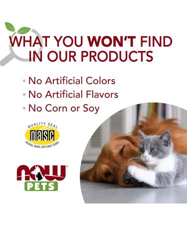 NOW Foods Pet Health Flea and Tick Spray for Dogs | Essential Oil Based Repellent | No DEET | 8-Ounce | International Shipping Available - Buy Online on GoSupps.com