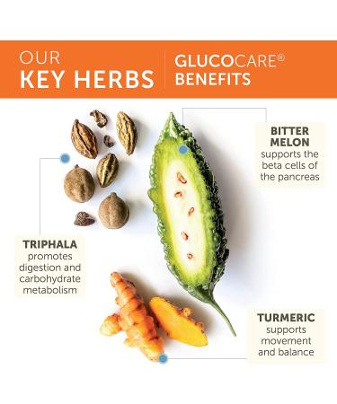 Himalaya GlucoCare 180 Capsules with Bitter Melon, Turmeric, Triphala & Gymnema - 45 Day Supply | 626mg - Buy Online on GoSupps.com