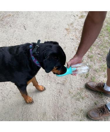 Nepfaivy 550ml Portable Dog Water Bottle & Feed Container Ideal for Hiking & Travel - Buy Online on GoSupps.com