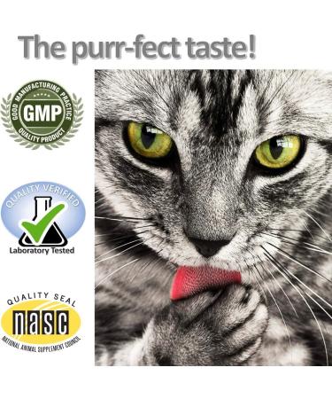 Vet Worthy Milk Replacement for Cats - Milk Formula Replacer for Puppies  Pregnant  Lactating  Elderly or Recovering Dogs - Enriched with Colostrum  Whey Protein  Vitamins  and Minerals - 12 oz - Buy Online on GoSupps.com