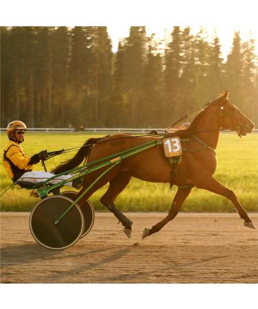 Polar Equine H10 Heart Rate Monitor Strap - Black Trotting Gear for Horses and Equestrian Activities - Buy Online on GoSupps.com