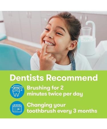 FIREFLY Light-up Timer Toothbrush 2 Count Assorted with Suction Cup - Pack of 1 - Buy Online on GoSupps.com