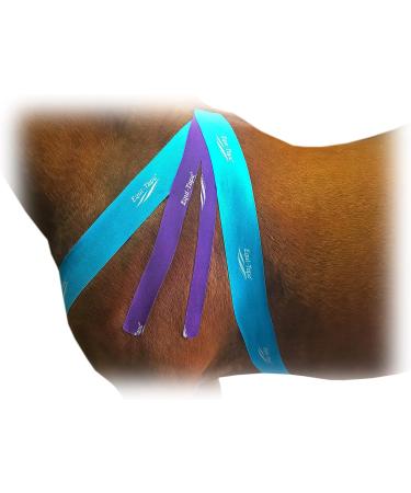 Equi-Tape Advantage 3 Light Blue Tape for Horse & Pony - Muscle Pain Relief, Joint Stability | Safe, Lightweight, Waterproof Tape with Grade Adhesive - Buy Online on GoSupps.com