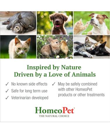 HomeoPet Multiple Species 14807 Host No More 15ml - Buy Online on GoSupps.com