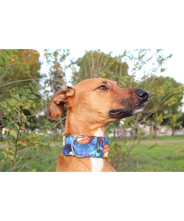 Buy candyPet Martingale Dog Collar - Universe Model 5cm Wide (30-50cm Diameter) | International Shipping Available - Buy Online on GoSupps.com