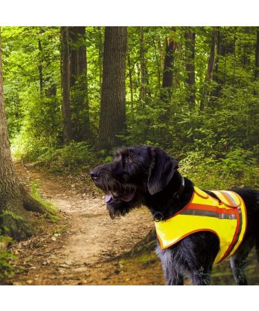Buy Reflective Dog Warning Vest - Yellow Orange Safety Gear for Night Walks & Hunting - Buy Online on GoSupps.com
