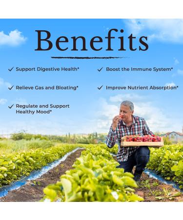 Vitalitown Probiotics 120 Billion CFUs - 36 Strains & Digestive Enzymes - 30 Veg Caps - Buy Online on GoSupps.com