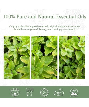 PHATOIL Oregano Essential Oil 30ML - Premium Grade Pure Oil for Diffusers, Aromatherapy, Humidifiers, and Candle Making - Buy Online on GoSupps.com