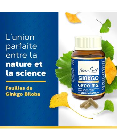 Ginkgo Biloba 6500 mg Pure Essence | Food Supplement 80 Vegetable Capsules 24% Ginkgoflavoglycosides 6% Lactones | Supports Memory and Circulation Api-Nature - Buy Online on GoSupps.com