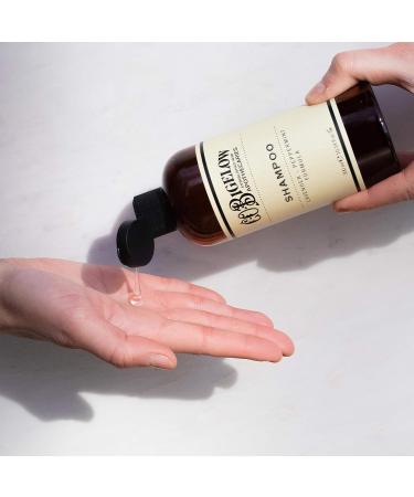 C.O. Bigelow Lavender Peppermint Shampoo - 10.4 Fl Oz - Cleansing & Soothing Luxury Hair Care - Buy Online on GoSupps.com