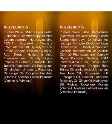 Botanic Hearth Essential Oil Shampoo & Conditioner Set - Sulfate Free, Hair Growth, Color Safe, All Hair Types - 16 fl oz - Buy Online on GoSupps.com