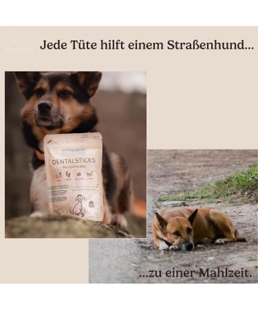 Hundreds Dental Sticks for Dogs - 100% Natural Vegan Hypoallergenic Chew Sticks - 3 Pack for Tartar & Dental Care - Trial Package - Buy Online on GoSupps.com