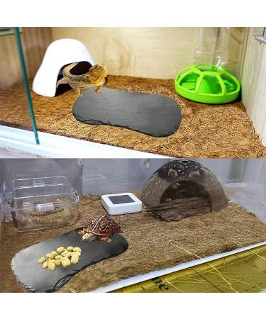 Tfwadmx Reptile Basking Platform Tortoise Rock Plate Feeding Food Bowl Dish Feeding Slate Turtle Bathing Resting Platform for Lizard Gecko Bearded Dragon Chameleon Snake Frog 11''x5.5'' natural - Buy Online on GoSupps.com