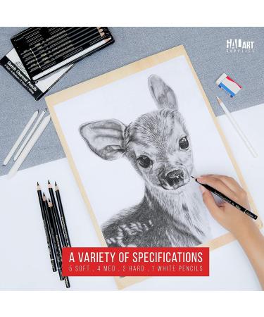 Galart Supplies Charcoal Drawing Set - 12 Piece Pre-Sharpened Pencils for Artists and Beginners | Soft, Medium, Hard, and White Charcoal Pencils for Drawing, Shading, and Sketching with Organizer Tray - Buy Online on GoSupps.com