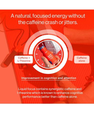 More Labs Liquid Focus Nootropic Smart Drink with Powerful Antioxidants & Adaptogenic Herbs for Energy and Concentration 150mg Caffeine (Pack of 6) Berry 3.4 Fl Oz (Pack of 6) - Buy Online on GoSupps.com