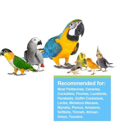 Hagen All Birds Prime Vitamin Supplement 1.1 oz - Essential Bird Supplement - Buy Online on GoSupps.com