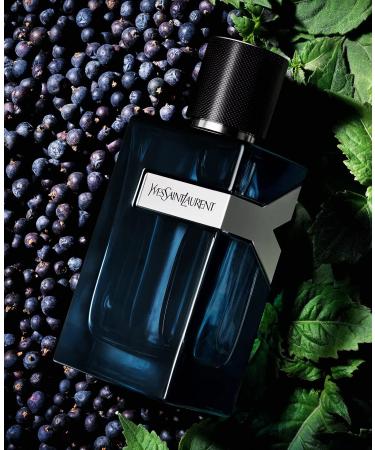 YVES SAINT LAURENT Y Eau De Parfum Intense Spray for Men 3.4 Ounce (New 2023) 3.3 Fl Oz (Pack of 1) - Buy Online on GoSupps.com