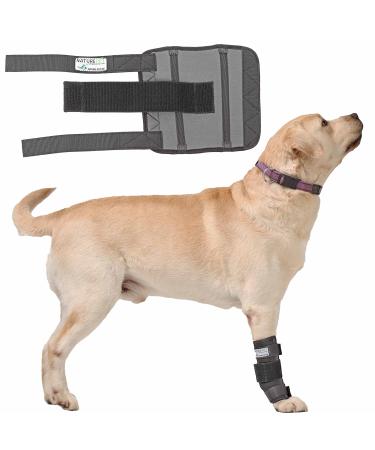 NATURE PET Dog Carpal Splint/Dog Carpal Joint Protection Splint/Dog Support Brace Carpolock Medium Grey - XL