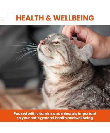 Vetzyme Conditioning Tablets for Cats and Kittens (300 Tablets) - Promotes Health and Vitality Supporting a Healthy Immune System - Buy Online on GoSupps.com