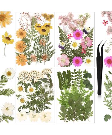 Nuanchu Pressed Flowers Resin Flowers for Resin Mold  Real Daisy Dried Flower Leaves Natural with Tweezers for Scrapbooking DIY Candle Accessories Jewelry Crafts Making (Fresh Style) Multi Color - Buy Online on GoSupps.com