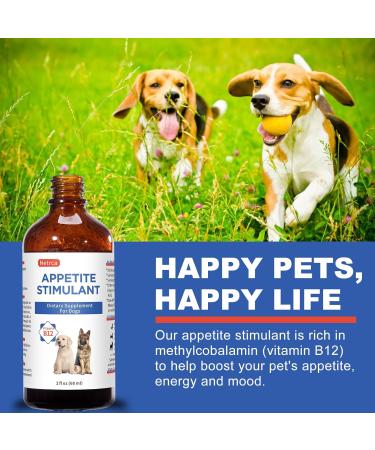 Cat Appetite Stimulant - Methylcobalamin B12 Liquid Supplement - Boost Appetite Energy & Weight gain - 60ml - Buy Online on GoSupps.com