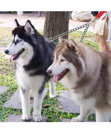 Metal Double Dog Leash | Durable 60cm High-Performance Steel Chain for 2 Dogs - Perfect Hundeleine Doubleleine for International Shipping - Buy Online on GoSupps.com