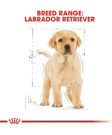Royal Canin Dog Food Labrador Retriever Puppy Dry Mix 12kg 12 kg (Pack of 1) - Buy Online on GoSupps.com