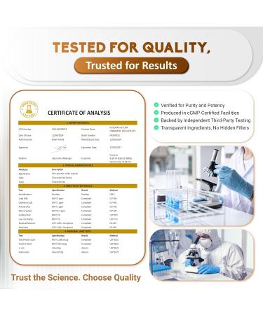 Ultra Ceylon Cinnamon - 13-in-1 with Berberine Apple Cider Vinegar Turmeric Bitter Melon - Max Absorption - 180 Capsules - Non-GMO Gluten-Free Lab Tested - Buy Online on GoSupps.com