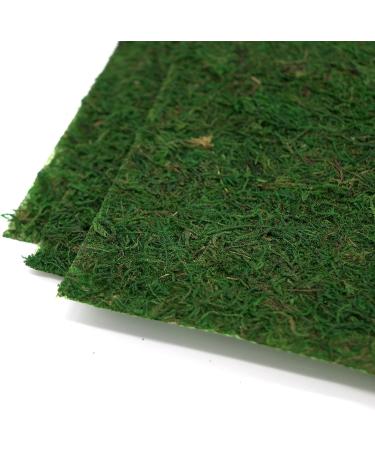 Usmola Moss Mat 11.8 Inch - Pack of 3 Dark Green Moss Mats for Woodland & Garden Party Decor - Buy Online on GoSupps.com