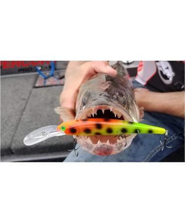 Bandit Generator Multi-Species Minnow Jerkbait Glowing Fishing Lure - Bass and Walleye 4 5/8 3/4 oz - Haley's Chameleon - Buy Online on GoSupps.com